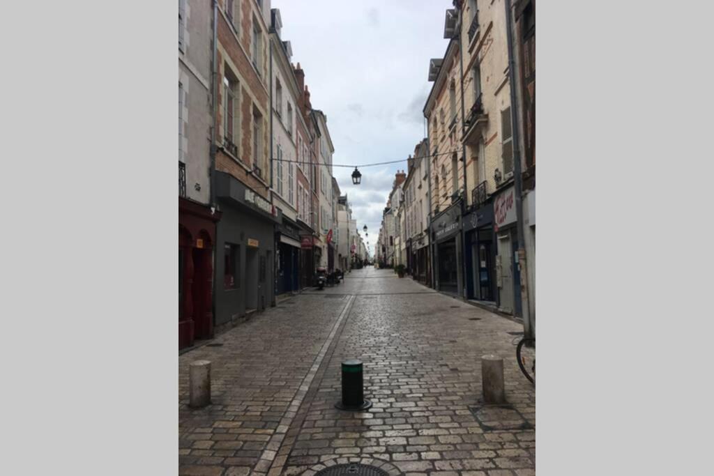 Tour De France Historique Et Chateaux De Loire Orleans Ngoại thất bức ảnh